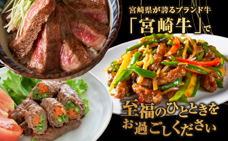 ≪3か月定期便≫夢の宮崎牛食べつくしセット(総重量3kg) 肉 牛 牛肉 おかず 国産_T030-067