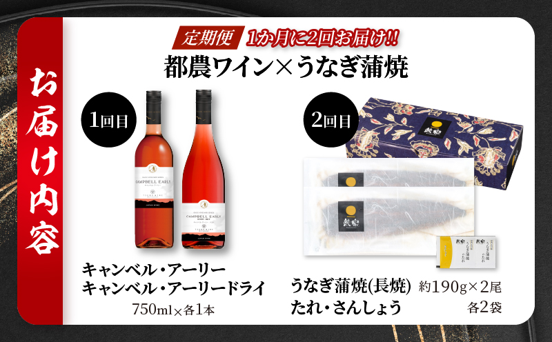 ≪定期便≫＼1か月に2回お届け!!／都農ワイン×うなぎ蒲焼★最強コンビ 酒 飲料 鰻 魚介 国産_T999-0031