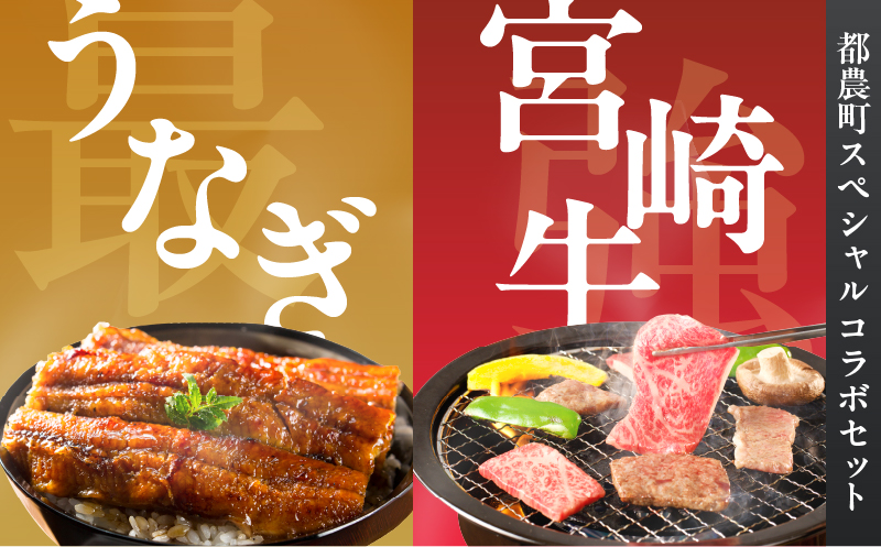 ≪数量限定≫うなぎ×宮崎牛 都農町最強セットC 肉 牛 牛肉 焼肉 国産_T030-073