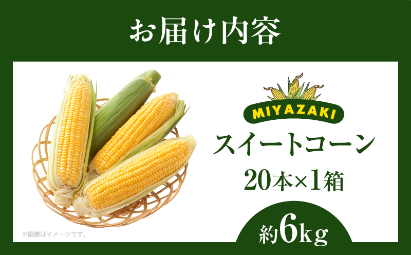 先行予約≪期間限定≫みやざきフレッシュスイートコーン(約6kg) とうもろこし 野菜 旬 おやつ 国産_T015-005