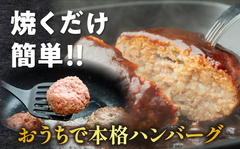 ≪3か月お楽しみ定期便≫宮崎県産豚プレミアムハンバーグ(合計30個) 肉 豚肉 加工品 国産_T001-017