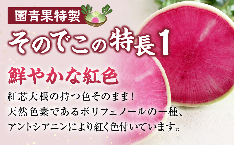 先行予約≪期間限定≫大和ルージュ＆そのでこセット(合計1.5kg以上) 野菜 加工品 国産_T003-014