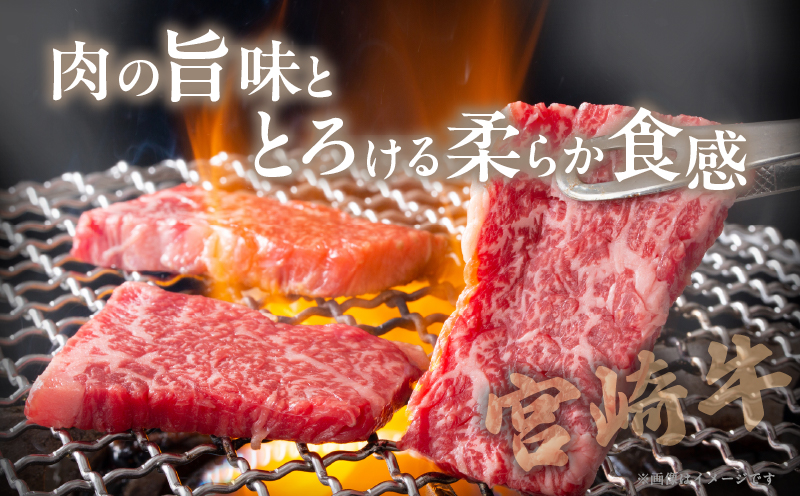 宮崎牛ロース(焼肉用)計800g 肉 牛 牛肉 国産_T050-004