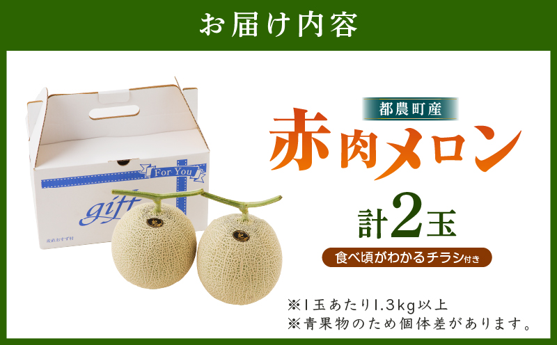 先行予約≪期間限定≫都農町産「赤肉メロン」計2玉 フルーツ 果物 デザート 国産_T015-006-F