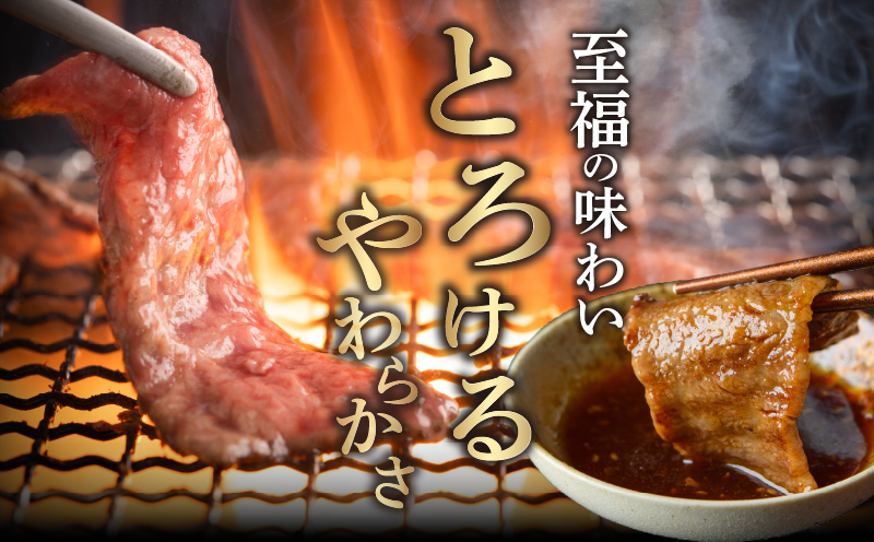 【2週間以内発送】宮崎県産黒毛和牛切り落とし(焼肉用)計1kg 肉 牛 牛肉 国産_T023-017