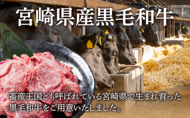 【2週間以内発送】宮崎県産黒毛和牛切り落とし(焼肉用)計1kg 肉 牛 牛肉 国産_T023-017