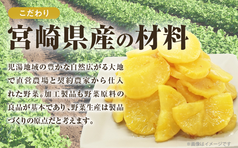 ＼ポスト投函／ひとくちかつお(230g) 漬物 おかず 野菜 加工品 国産_T025-011