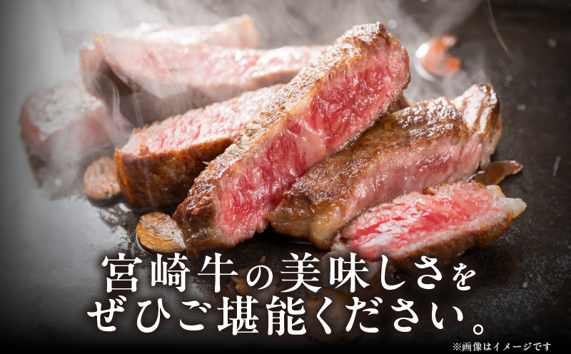 宮崎牛サーロインステーキ(計800g) 肉 牛 牛肉 国産_T050-002