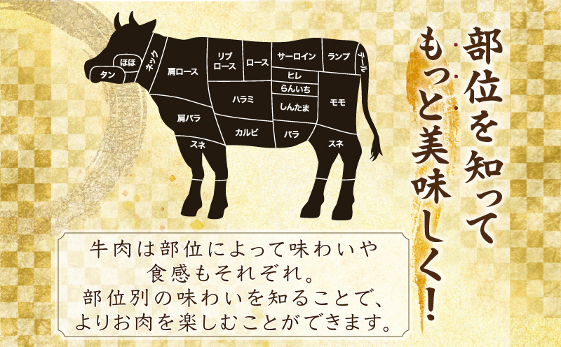 【2週間以内発送】生産者応援≪訳あり≫黒毛和牛(経産牛)6種焼肉セット(合計600g) 肉 牛 牛肉 おかず 国産_T030-023-2W