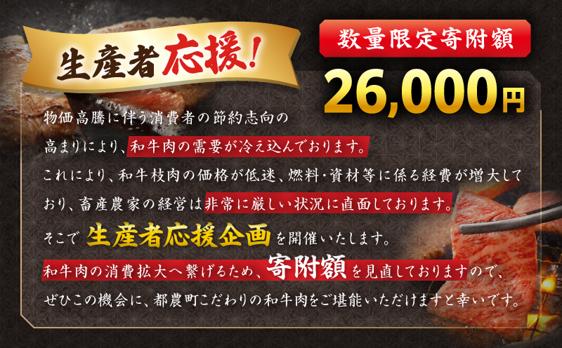 【令和7年1月発送】生産者応援≪肉質等級4等級以上≫宮崎牛すき焼きセット(合計1kg) 肉 牛 牛肉 おかず 国産_T030-0031-701