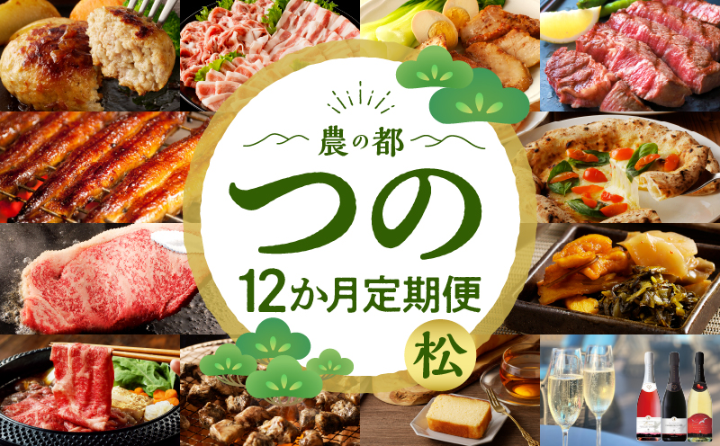 ≪12か月お楽しみ定期便≫都農町定期便(松) 肉 加工品 デザート 国産_T999-010