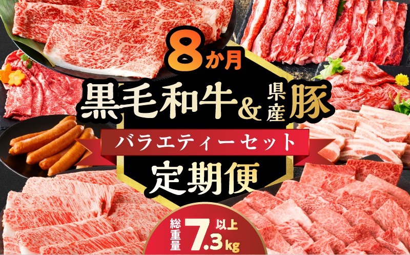 ≪8か月定期便≫黒毛和牛＆県産豚バラエティーセット(総重量7.3kg以上) 肉 牛 牛肉 おかず 国産_T030-070