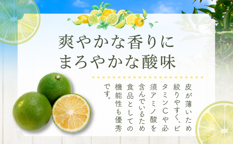 先行予約≪期間限定≫都農町産「ヘベス(約1kg)」 フルーツ 果物 柑橘 国産_T008-007