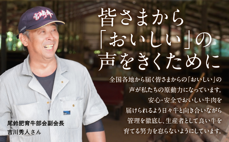 宮崎牛ロース(焼肉用)計400g 肉 牛 牛肉 国産_T050-0031