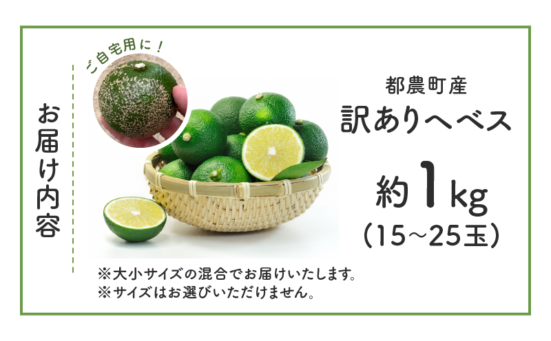 先行予約≪期間限定≫都農町産「訳ありヘベス(約1kg)」 フルーツ 果物 柑橘 国産_T008-010