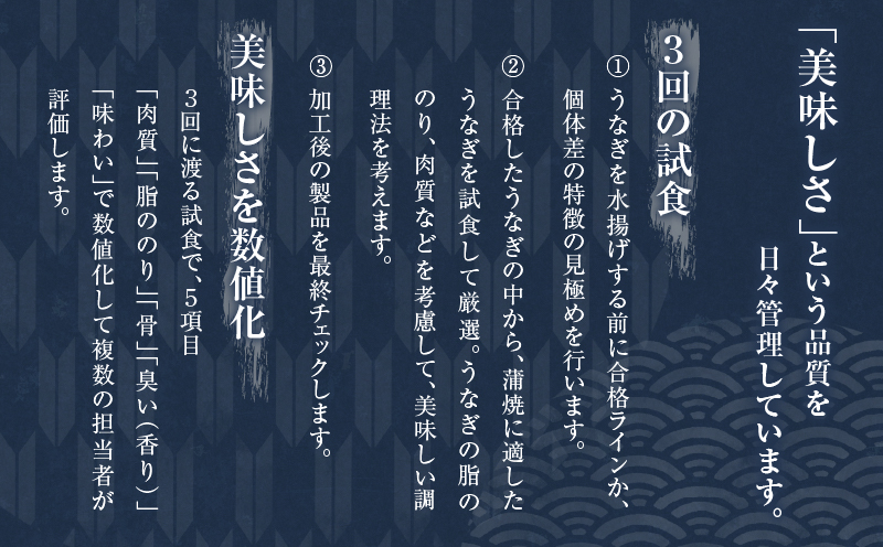 ≪定期便全3回≫4月・5月・6月お届け!!うなぎ蒲焼 超特大3尾 (総重量1.8kg以上) 鰻 魚 魚介 加工品 国産_T026-009