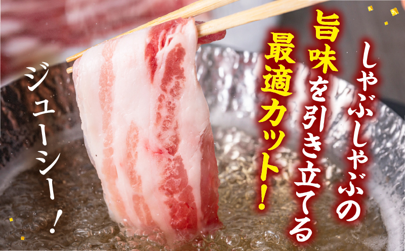 宮崎県産豚バラしゃぶしゃぶ用(計1kg) 肉 豚 豚肉 おかず 国産_T009-013