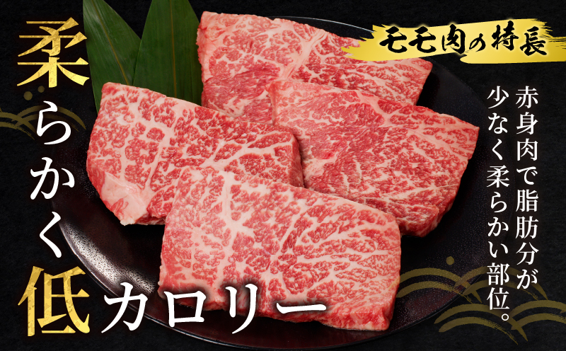 宮崎牛モモステーキ(計800g) 肉 牛 牛肉 国産_T009-019