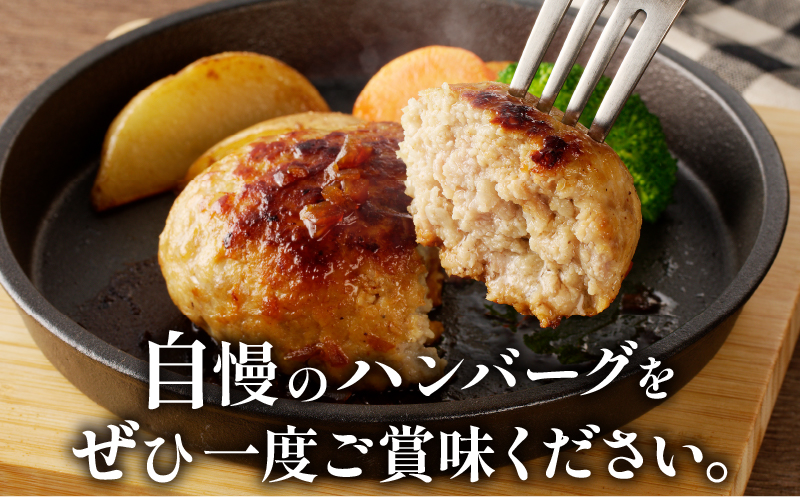 宮崎県産豚プレミアムハンバーグ(計20個) 肉 豚肉 加工品 惣菜 国産_T001-012
