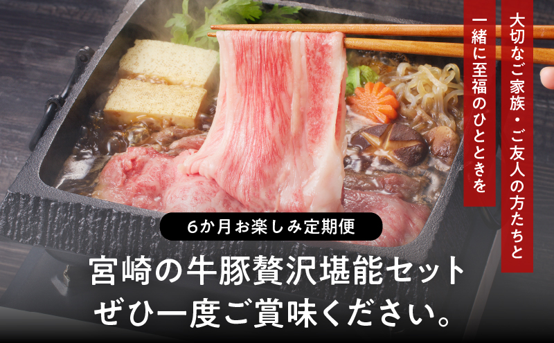 ≪6か月お楽しみ定期便≫宮崎の牛豚贅沢堪能セット(総重量4kg) 肉 牛肉 豚肉 おかず 国産_T030-064