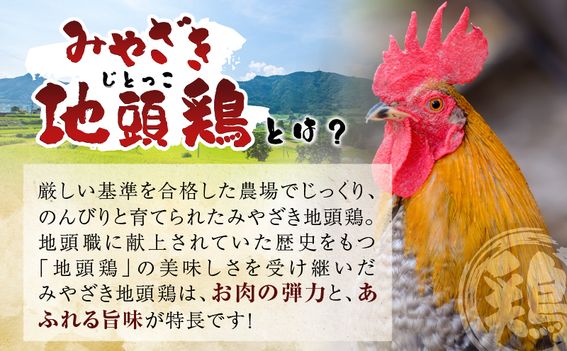 みやざき郷土料理セット(合計2.2kg以上) 肉 鶏 鶏肉 鍋 国産_T017-004