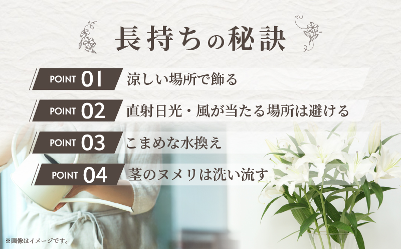 ≪期間限定≫LA ユリ(黄) 約15本 生花 切花 百合 国産_T045-006