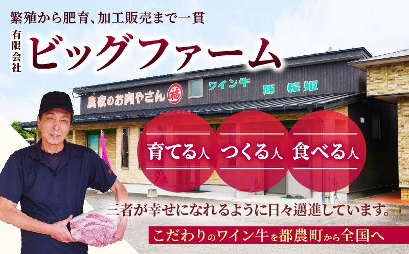 ワイン牛100%手ごねハンバーグ(計8個) 肉 牛 牛肉 加工品 国産_T011-005