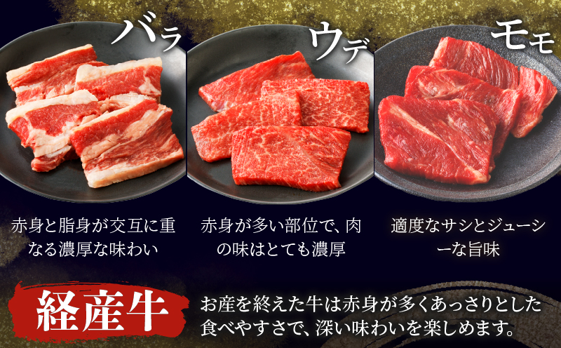 ≪定期便≫＼1か月に2回お届け!!／牛＆豚!!９種のお肉よくばりセット(大)【総重量3.6kg】 肉 牛 牛肉 おかず 国産_T030-038