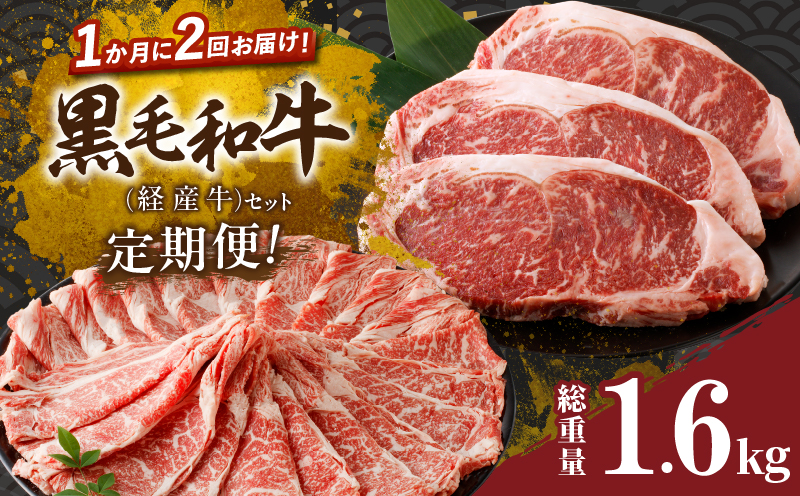 ≪定期便≫＼1か月に2回お届け!!／黒毛和牛(経産牛)セット【総重量1.6kg】 肉 牛 牛肉 おかず 国産_T030-047