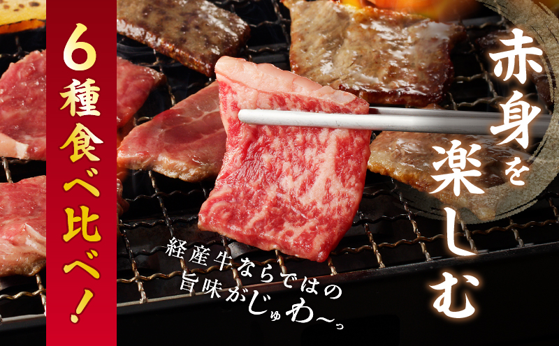 【2週間以内発送】生産者応援≪訳あり≫黒毛和牛(経産牛)6種焼肉セット(合計600g) 肉 牛 牛肉 おかず 国産_T030-023-2W