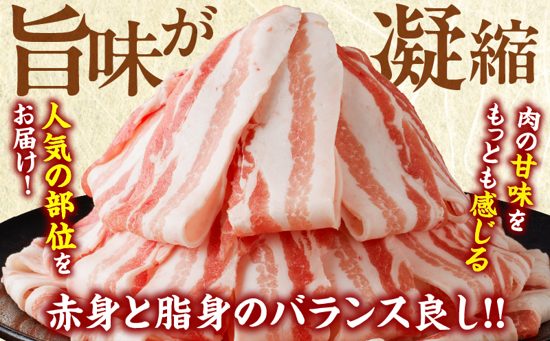 宮崎県産豚バラスライス計1.8kg 肉 豚 豚肉 おかず 国産_T009-009