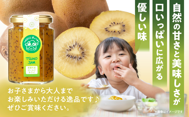 TSUNO JAMゴールドキウイ(計3個) 加工食品 フルーツ 果物  国産_T043-005