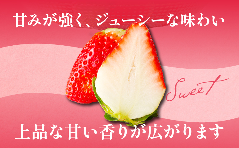 先行予約≪数量限定≫都農町産いちご「さがほのか」計1kg フルーツ 果物 デザート イチゴ 国産_T015-001