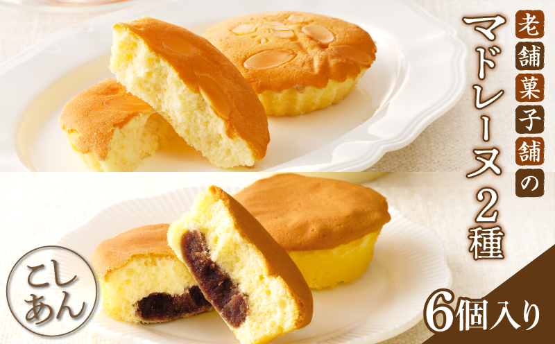 【2週間以内発送】老舗菓子舗のマドレーヌ2種セット「合計6個・個包装」 焼き菓子 スイーツ 詰め合わせ 洋菓子_T035-020
