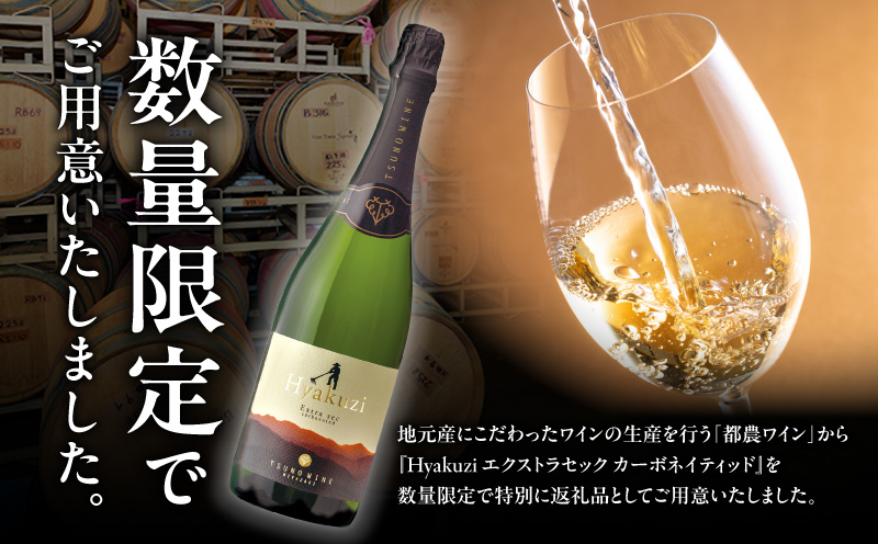 【数量限定】Hyakuzi エクストラセック カーボネイティッド(計1本) 酒 飲料 アルコール 国産_T014-007