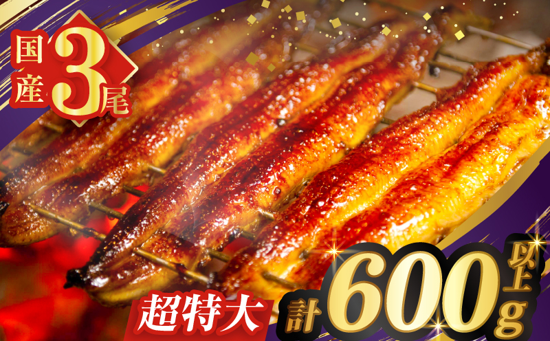 うなぎ蒲焼特大3尾(さんしょう・たれ付き)計600g以上 鰻 魚 魚介 加工品 国産_T026-002-23