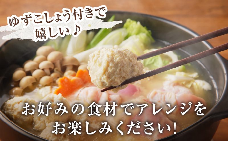 みやざき郷土料理セット(合計2.2kg以上) 肉 鶏 鶏肉 鍋 国産_T017-004