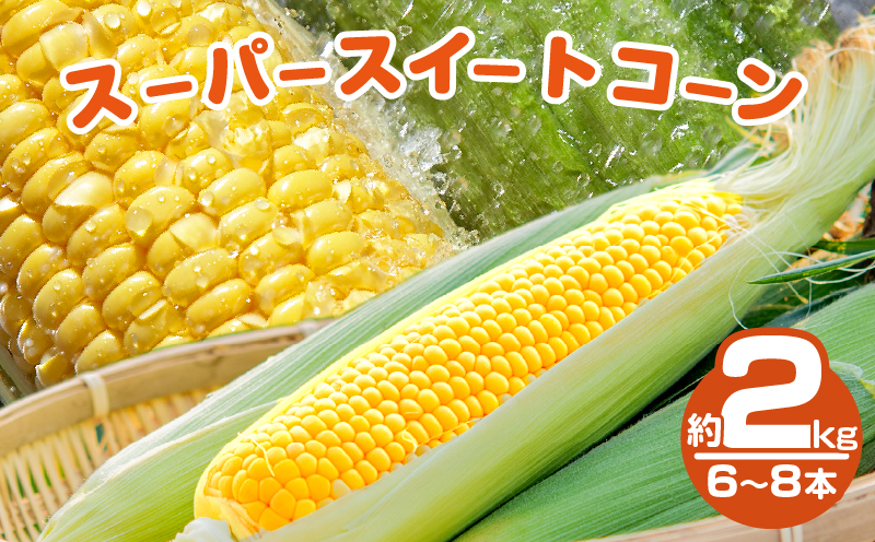 先行予約≪期間限定≫スーパースイートコーン(約2kg)お試し用 とうもろこし 野菜 国産_T003-003