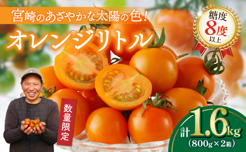 ≪先行予約≫オレンジリトル（計1.6kg） ミニトマト 野菜 サラダ 国産_T040-001