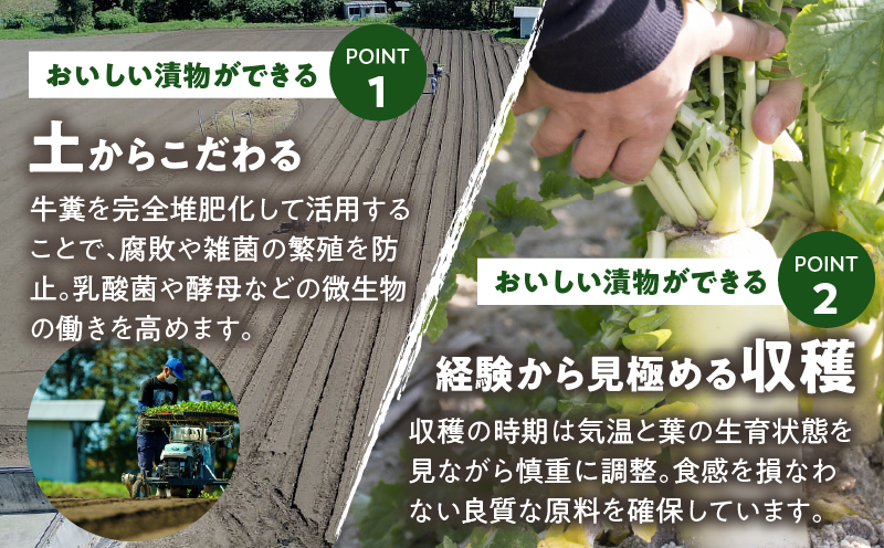 ＼ポスト投函／つぼ漬け 計1袋 (200g) 漬物 おかず 野菜 加工品 国産_T025-025