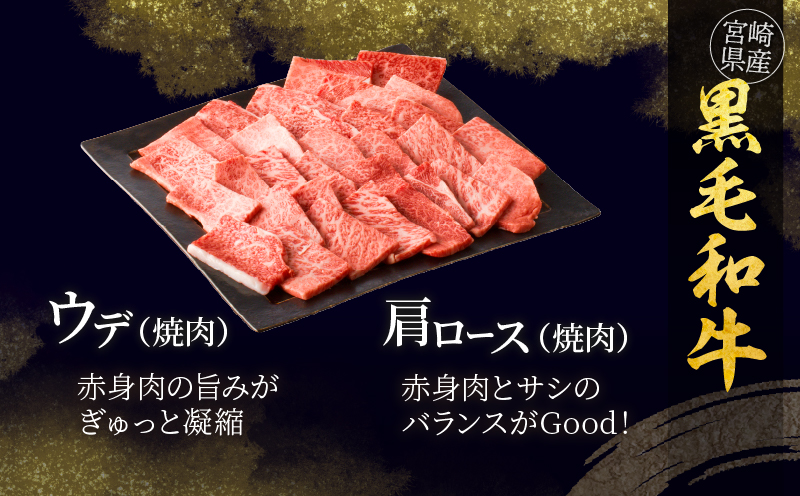 ≪定期便≫＼1か月に2回お届け!!／牛＆豚!!満喫セット【総重量2.3kg】 肉 牛肉 豚肉 おかず 国産_T030-052