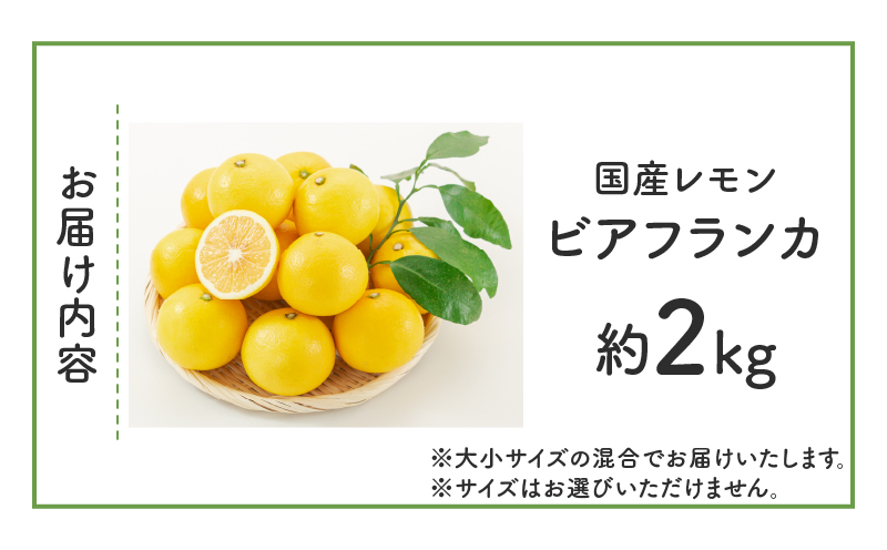 先行予約≪期間限定≫都農町産レモン「ビアフランカ(約2kg)」 フルーツ 果物 柑橘_T008-006