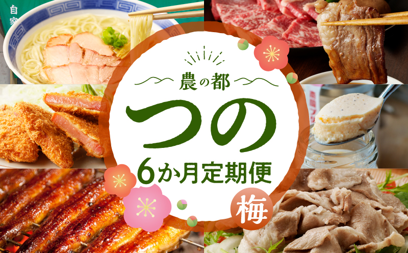 ≪6か月お楽しみ定期便≫都農町定期便(梅) 肉 加工品 デザート 国産_T999-005