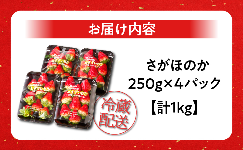 先行予約≪数量限定≫都農町産いちご「さがほのか」計1kg フルーツ 果物 デザート イチゴ 国産_T015-001