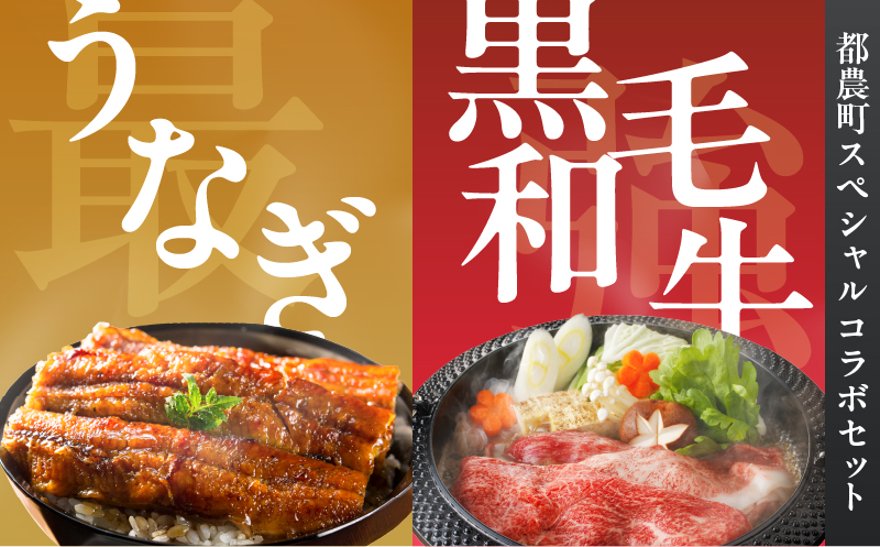 ≪数量限定≫うなぎ×黒毛和牛(経産牛) 都農町最強セットD 肉 牛 牛肉 おかず 国産_T030-074