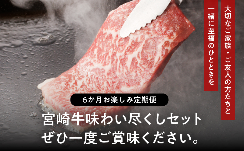 ≪6か月お楽しみ定期便≫宮崎牛味わい尽くしセット(総重量3.4kg) 肉 牛 牛肉 おかず 国産_T030-065