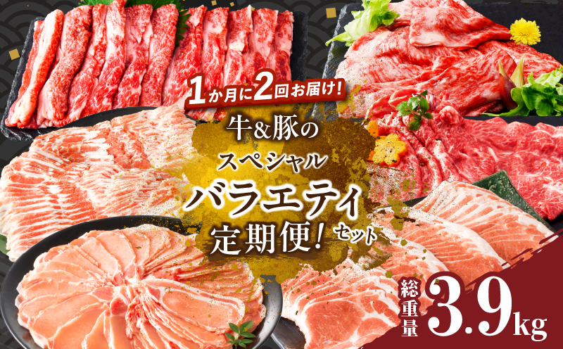 ≪定期便≫＼1か月に2回お届け!!／牛＆豚のスペシャルバラエティセット【総重量3.9kg】 牛肉 豚肉 国産_T030-033