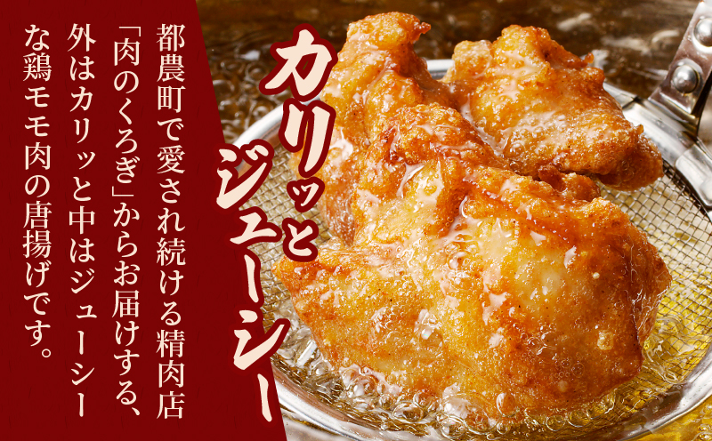 揚げるだけ!!味付き唐揚げ(計1kg) 鶏 鶏肉 チキン 国産_T006-001
