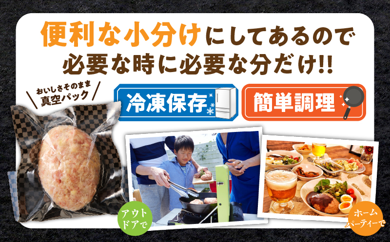 宮崎県産豚プレミアムハンバーグ(計20個) 肉 豚肉 加工品 惣菜 国産_T001-012