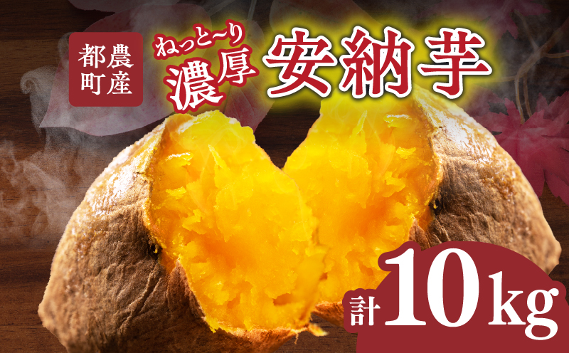 ≪期間限定≫都農町産安納芋(計10kg) 野菜 芋 イモ 国産_T016-002